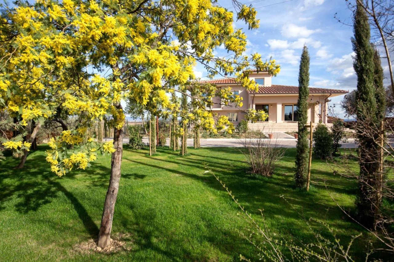 Villa Spaccasole Su Cortona Foiano Della Chiana Zewnętrze zdjęcie